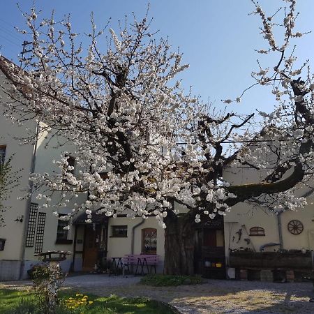 Ferienwohnung Zum-Alten-Kirschbaum Limburg an der Lahn Ngoại thất bức ảnh