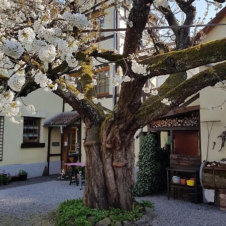 Ferienwohnung Zum-Alten-Kirschbaum Limburg an der Lahn Ngoại thất bức ảnh