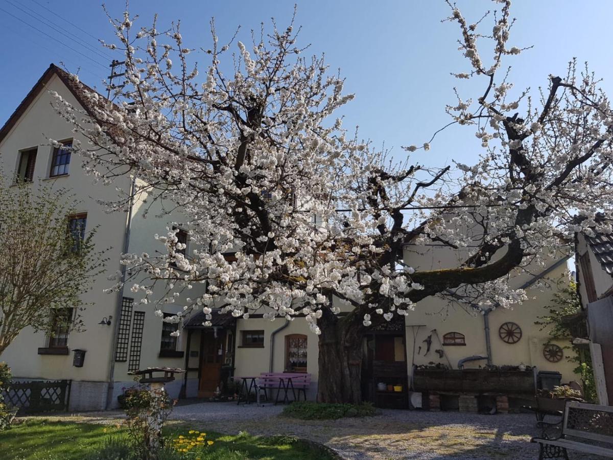Ferienwohnung Zum-Alten-Kirschbaum Limburg an der Lahn Ngoại thất bức ảnh