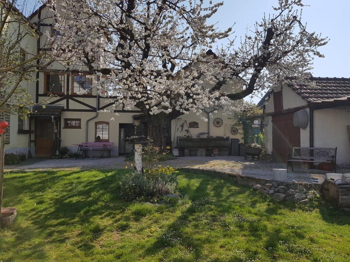 Ferienwohnung Zum-Alten-Kirschbaum Limburg an der Lahn Ngoại thất bức ảnh